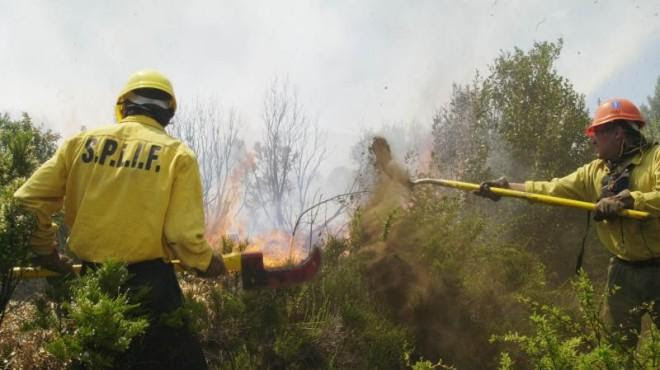 Día del Brigadista │ATE reclama políticas de Estado para los Combatientes de Incendios Forestales